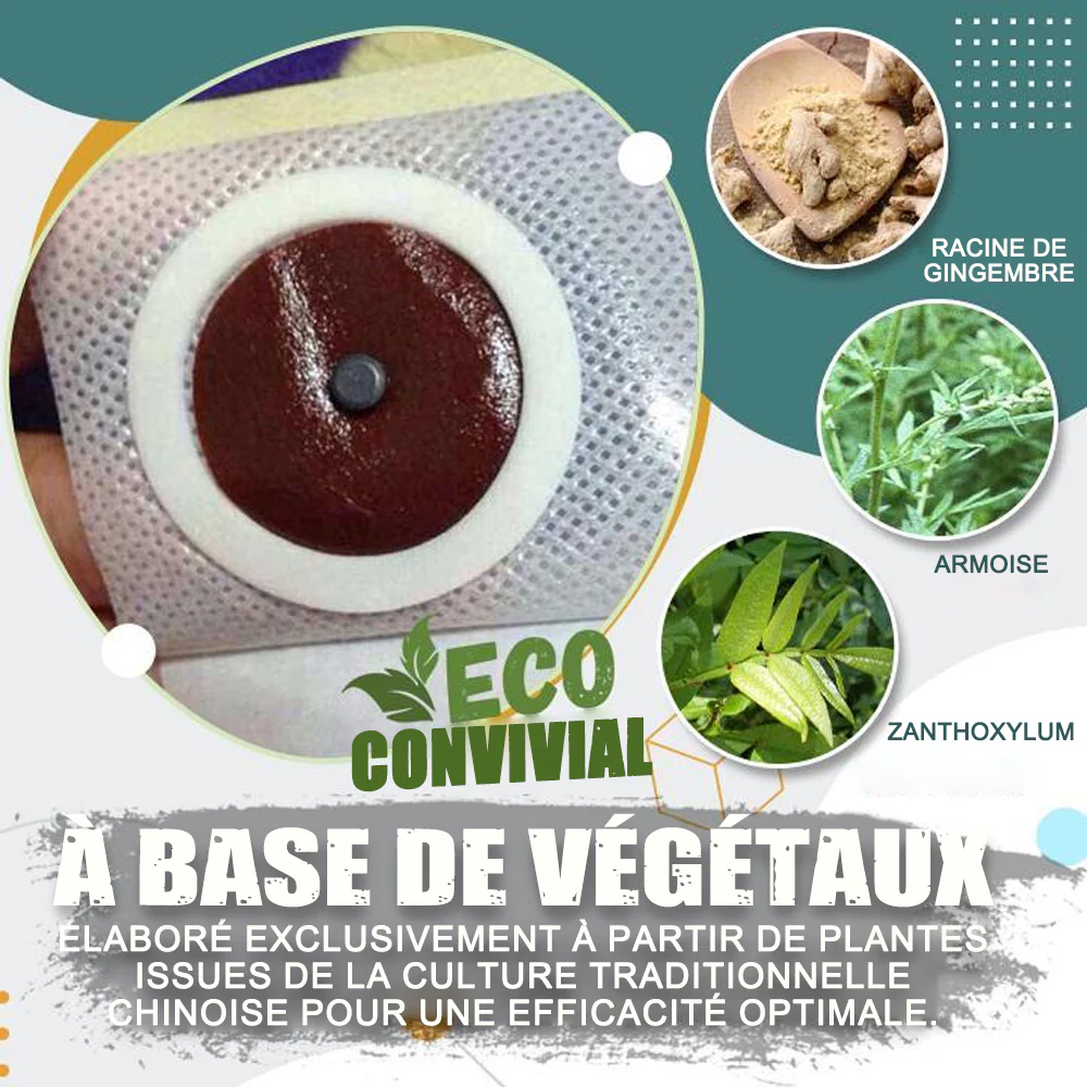 Purelora® Patch Minceur Détox Parfait（Offre limitée 🔥 Dernier jour） - Image 2